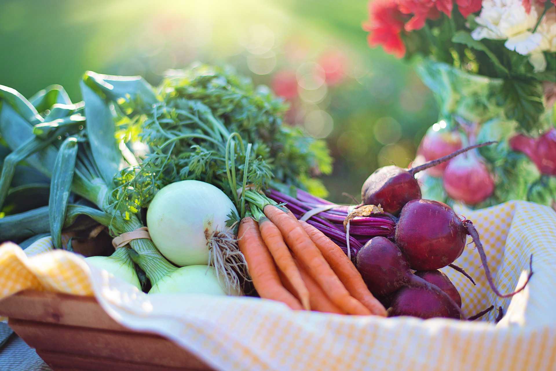 beetroot and carrot