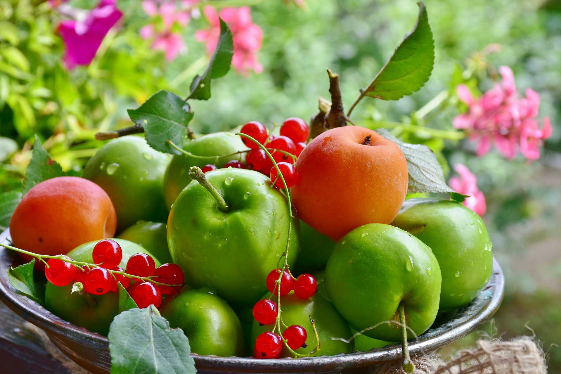 fruits