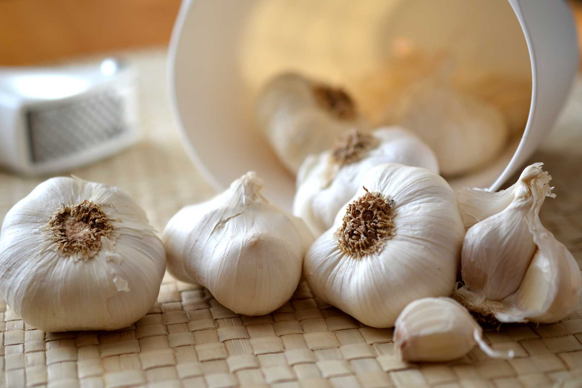 garlic