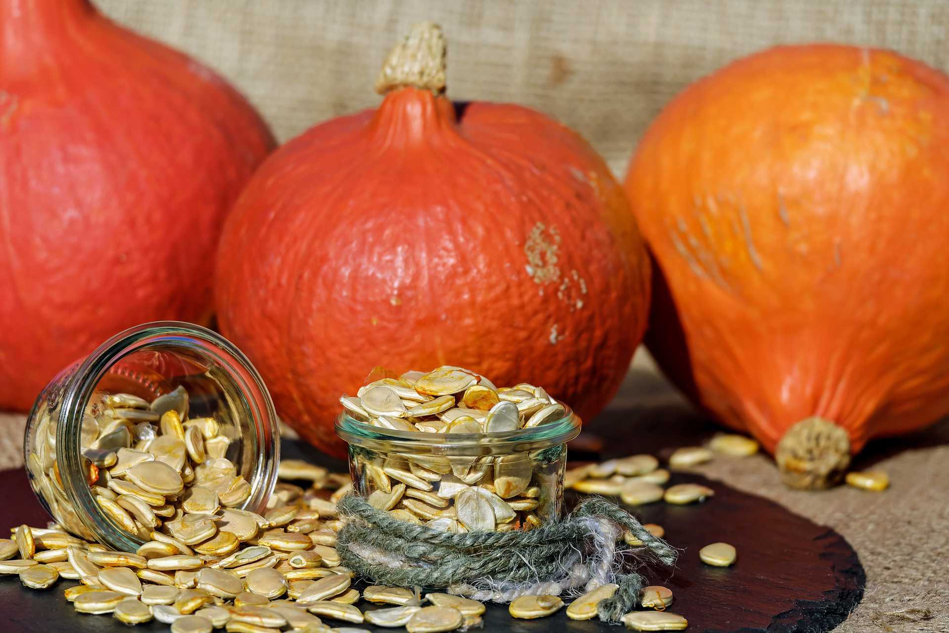 pumpkin seeds