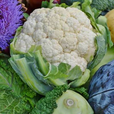 cauliflower