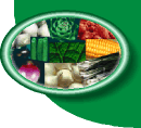 Montage of whole food