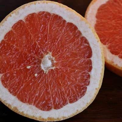 grapefruit