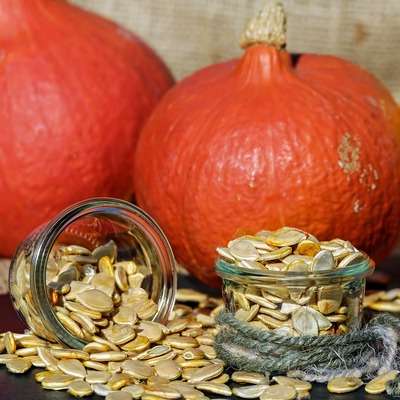 pumpkin seeds